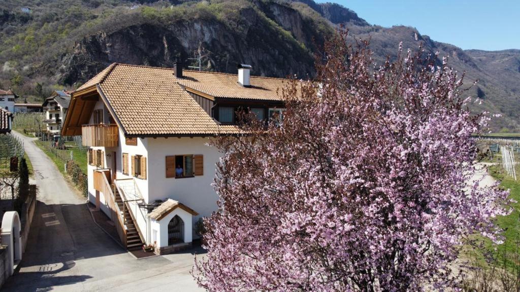Versigglhof Appiano Sulla Strada Del Vino Exterior foto