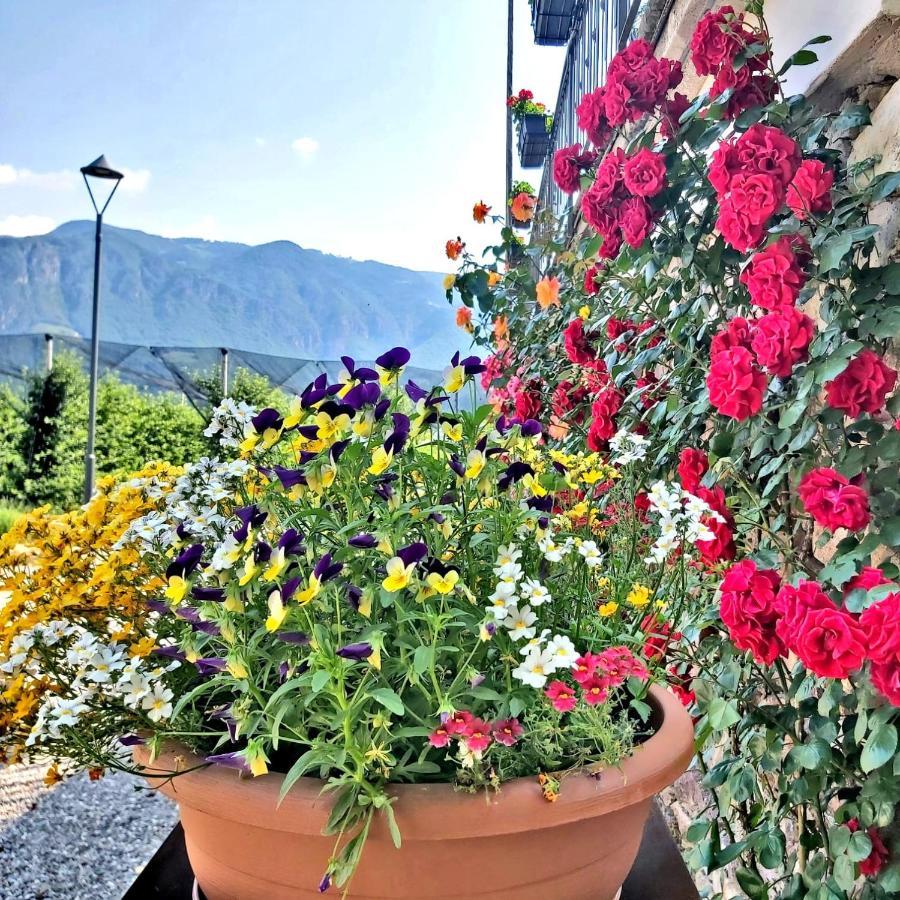 Versigglhof Appiano Sulla Strada Del Vino Exterior foto
