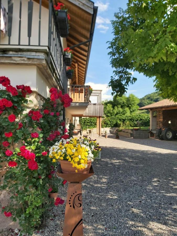 Versigglhof Appiano Sulla Strada Del Vino Exterior foto