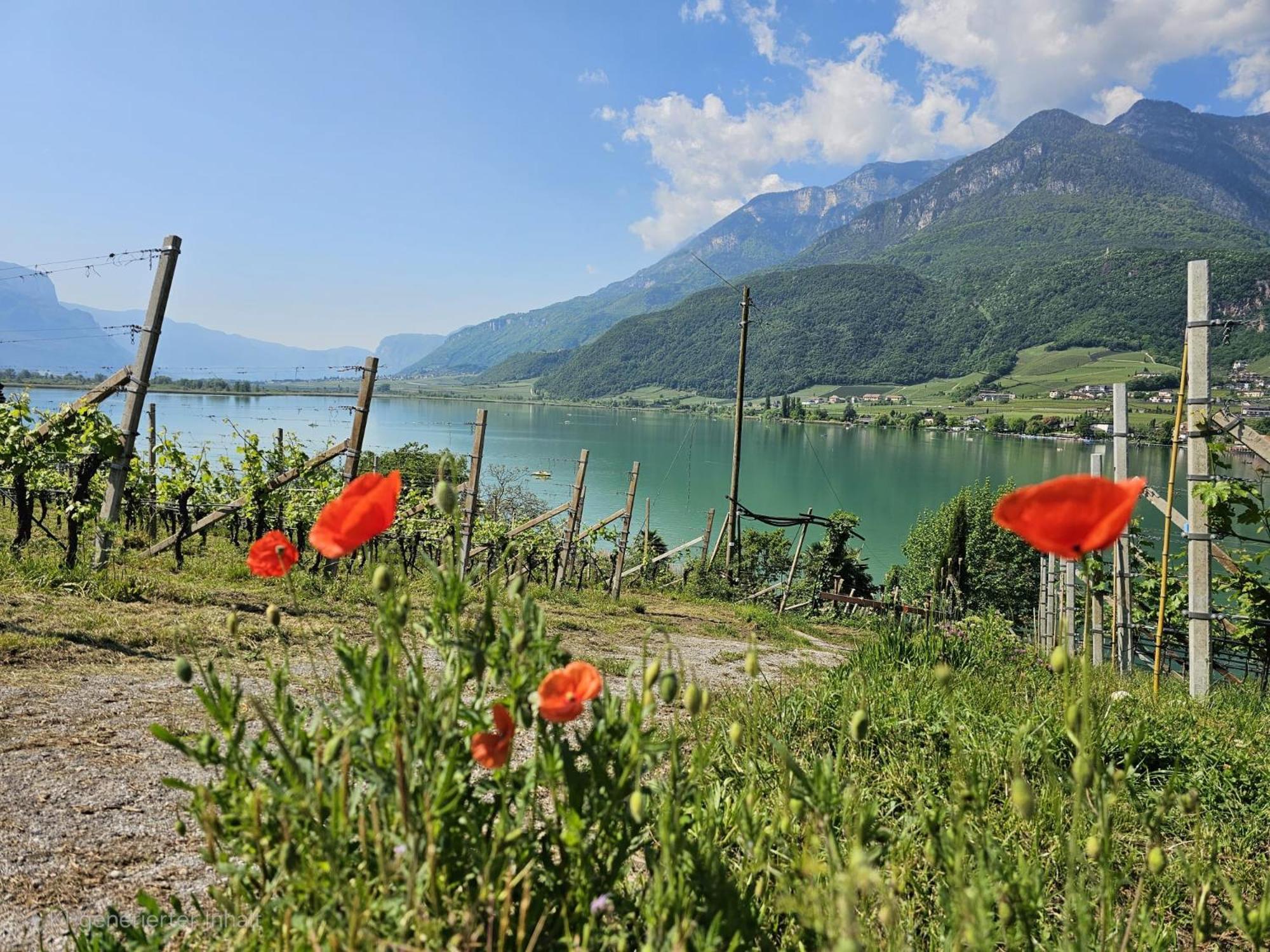 Versigglhof Appiano Sulla Strada Del Vino Exterior foto